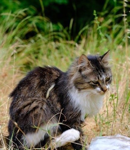 the monkey’s paw pdf