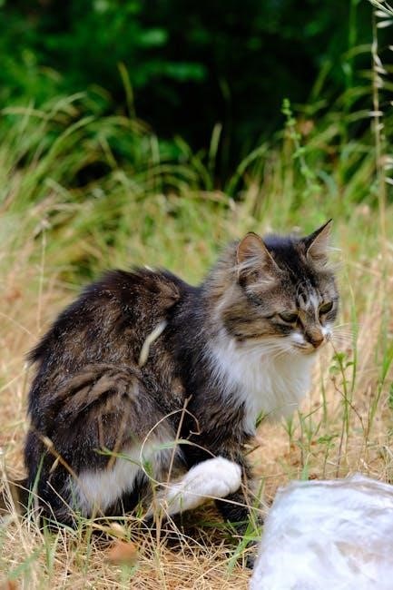 the monkey’s paw pdf