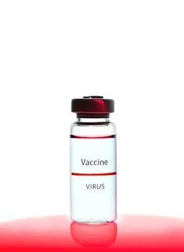 ap biology unit 2 test pdf