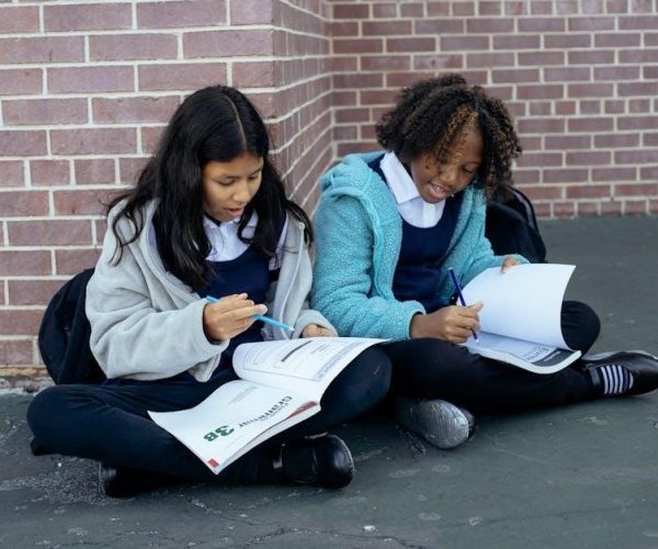 saxon math course 2 pdf