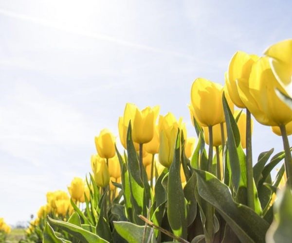 décimale 6e année corrigé pdf gratuit