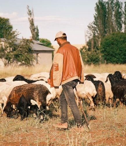 the shepherd of hermas pdf