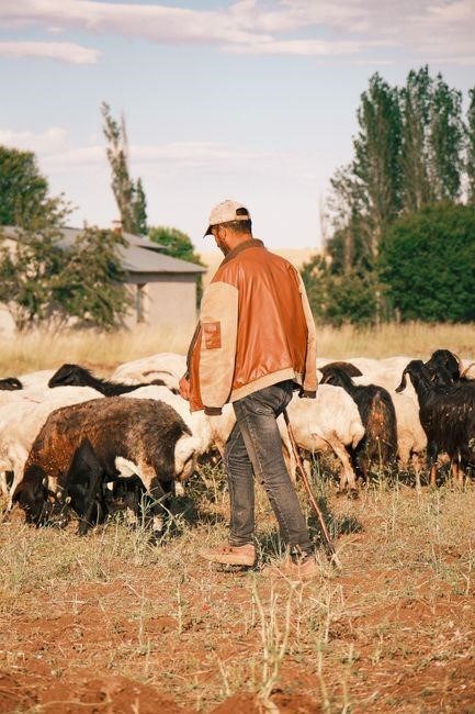 the shepherd of hermas pdf
